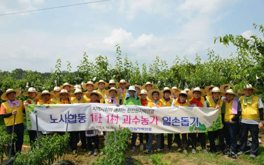 한전원자력연료는 18일 대전 유성구 관평동 자매마을을 찾아 '1사 1촌 과수농가 일손돕기' 봉사활동을 펼쳤다. 이날 행사에는 이재희 사장을 비롯한 봉사단원 30여명이 참여해 병해충 피해방지를 위해 배 열매에 봉지를 씌우는 작업을 진행했다.  한전원자력연료 제공